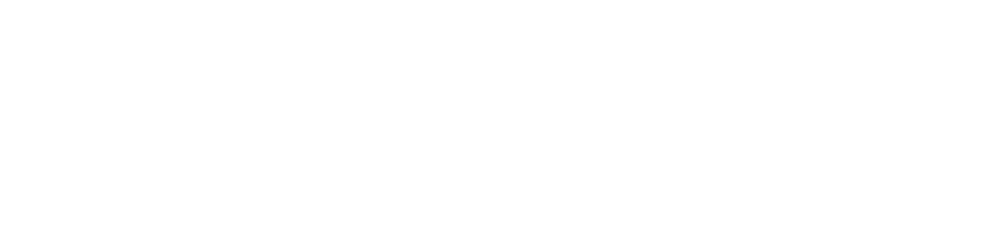 Logo Fondazione PIN, Polo di Prato Università di Firenze